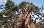 Skalní útvar Babí lom - Babí lom (přírodní rezervace)