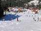 Ski areál U Sachovy studánky - sjezdovka