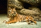 ZOO Brno - 