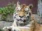 ZOO Praha - 